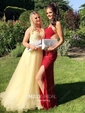 Ball Gown V-neck Floor-length Tulle Prom Dresses With Appliques
