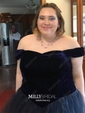 Ball Gown Off-the-shoulder Tulle Velvet Modest Prom Dresses