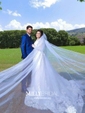 Ball Gown/Princess Illusion Tulle Court Train Wedding Dresses With Appliques Lace
