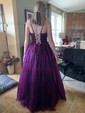 Ball Gown/Princess Sweep Train Scoop Neck Tulle Appliques Lace Prom Dresses