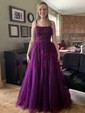 Ball Gown/Princess Sweep Train Scoop Neck Tulle Appliques Lace Prom Dresses