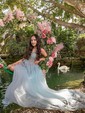 Ball Gown V-neck Tulle Prom Dresses With Appliques