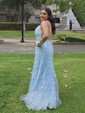 Mermaid Scoop Neck Tulle Prom Dresses With Appliques
