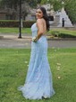 Trumpet/Mermaid Scoop Neck Tulle Sweep Train Appliques Lace Prom Dresses