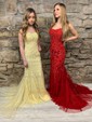 Trumpet/Mermaid Scoop Neck Tulle Sweep Train Appliques Lace Prom Dresses