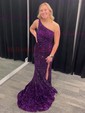 Sheath/Column One Shoulder Sparkly Velvet Sequin Prom Dresses