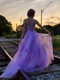 Ball Gown Scoop Neck Tulle Sweep Train Appliques Lace Prom Dresses