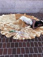 Trumpet/Mermaid Sweep Train V-neck Velvet Appliques Lace Prom Dresses