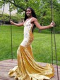 Mermaid V-neck Velvet Prom Dresses With Appliques