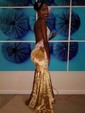 Mermaid V-neck Velvet Prom Dresses With Appliques