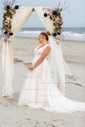 Ball Gown/Princess V-neck Tulle Court Train Wedding Dresses With Appliques Lace
