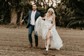 Ball Gown/Princess V-neck Tulle Sweep Train Wedding Dresses With Appliques Lace
