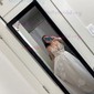 Ball Gown/Princess V-neck Tulle Sweep Train Wedding Dresses With Appliques Lace