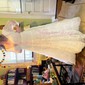 Ball Gown/Princess V-neck Lace Sweep Train Wedding Dresses With Sashes / Ribbons