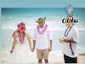 Ball Gown/Princess Illusion Tulle Sweep Train Wedding Dresses With Appliques Lace