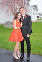 Elegant Skater Satin V-neck Ruched Homecoming Dresses