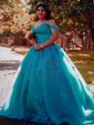 Ball Gown/Princess Sweep Train Off-the-shoulder Tulle Appliques Lace Prom Dresses