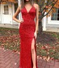 Sheath/Column V-neck Sparkly Velvet Sequin Prom Dresses