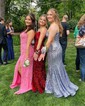 Mermaid V-neck Sparkly Velvet Sequin Prom Dresses