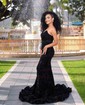 Trumpet/Mermaid Floor-length V-neck Velvet Sequins Prom Dresses