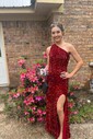Sheath/Column One Shoulder Sparkly Velvet Sequin Prom Dresses