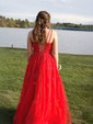 Ball Gown Scoop Neck Tulle Sweep Train Appliques Lace Prom Dresses