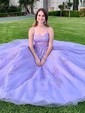 Ball Gown Scoop Neck Tulle Sweep Train Appliques Lace Prom Dresses