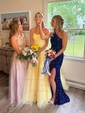 Princess Scoop Neck Tulle Prom Dresses With Appliques