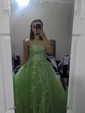 Ball Gown/Princess Sweep Train Scoop Neck Tulle Appliques Lace Prom Dresses