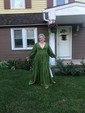 Ball Gown V-neck Puff Sleeve Chiffon Prom Dresses With Ruched
