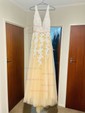 Ball Gown V-neck Backless Tulle Prom Dresses With Appliques