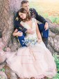 A-line V-neck Tulle Sweep Train Wedding Dresses With Appliques Lace