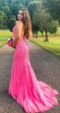 Sheath/Column Scoop Neck Backless Tulle Prom Dresses With Appliques