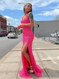 Sheath/Column Sweep Train Scoop Neck Velvet Sequins Split Front Prom Dresses