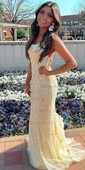 Mermaid Scoop Neck Tulle Prom Dresses With Appliques