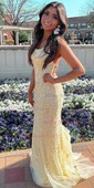 Trumpet/Mermaid Sweep Train Scoop Neck Lace Tulle Appliques Lace Prom Dresses