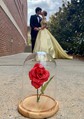 Ball Gown Off-the-shoulder Satin Modest Prom Dresses With Ruched