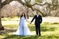 Ball Gown Scoop Neck Tulle Prom Dresses With Appliques