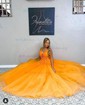 Princess V-neck Backless Tulle Prom Dresses With Appliques