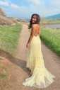 Mermaid Scoop Neck Tulle Prom Dresses With Appliques