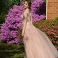 Ball Gown Illusion Chiffon Prom Dresses With Appliques