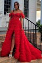 Ball Gown Off-the-shoulder Tulle Tiered Prom Dresses With Feather