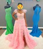 Ball Gown Off-the-shoulder Tulle Tiered Prom Dresses With Feather
