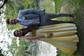 Ball Gown V-neck Satin Sweep Train Prom Dresses With Pockets