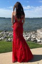Trumpet/Mermaid Sweep Train Sweetheart Tulle Appliques Lace Prom Dresses