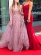 Ball Gown/Princess Sweep Train Scoop Neck Tulle Appliques Lace Prom Dresses