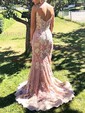 Trumpet/Mermaid Sweep Train V-neck Tulle Lace Appliques Lace Prom Dresses