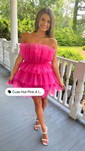 Ruffle Trim Tulle Tiered Mini Dress