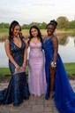 Mermaid V-neck Backless Sparkly Sequin Prom Dresses