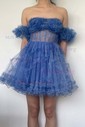 Corset Skater Tulle Ruffle Straight Homecoming Dresses